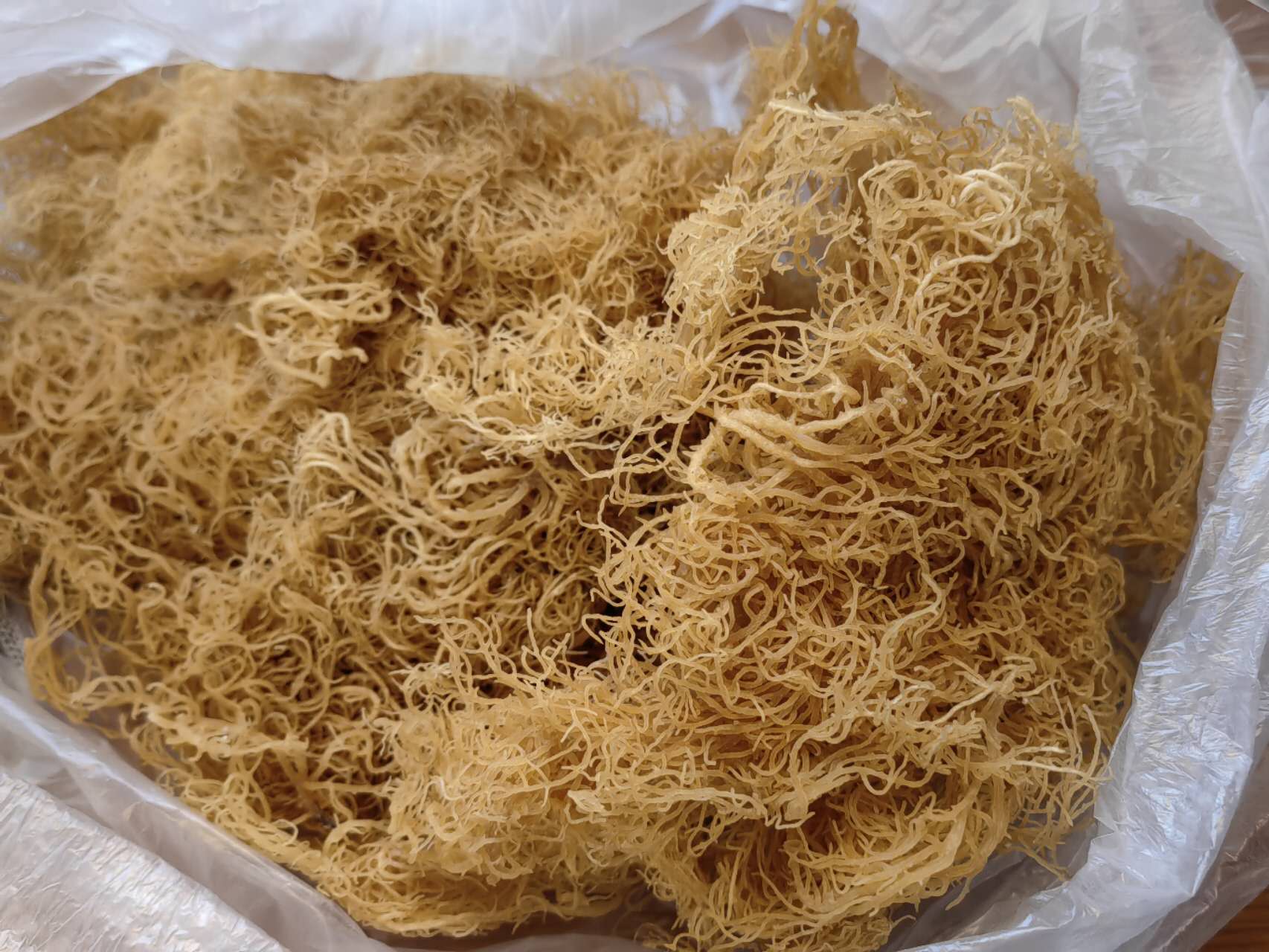 Wildcrafted gold sea moss Organic Sea Moss Bulk Wholesale 1