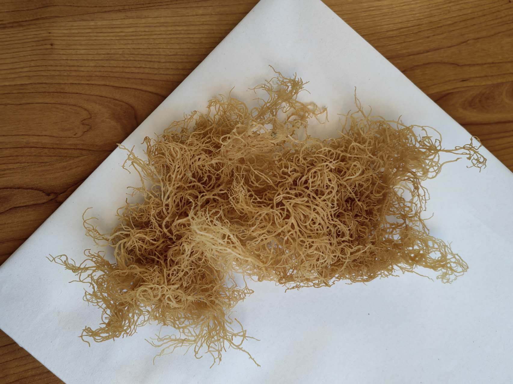 Wildcrafted gold sea moss Organic Sea Moss Bulk Wholesale 4